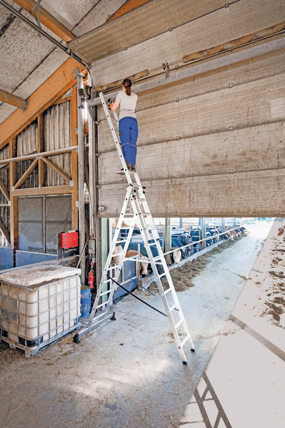 Milieubild 3818569 Munk Sprossen-Mehrzweckleiter 3-teilig mit nivello®-Traverse und Wandlaufrollen 3x8 Sprossen