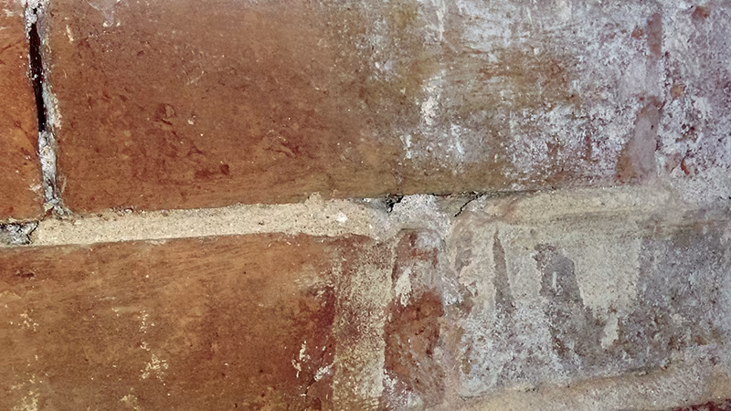 TecLine Premium-Reiniger für Zementschleier/Verkrustungen 5 l Kanister Backstein, Architektur, Gebäude, Mauer