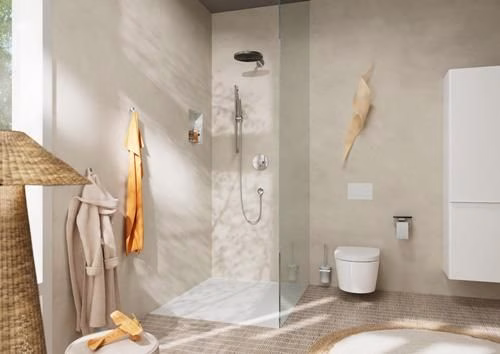 Detailbild 4027871 Hansgrohe Handbrause Pulsify S 1 jet chrom