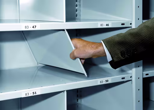 Stecktrennblech, 600 x 300 mm (T x H), RAL 7035 lichtgrau für MULTIplus250- und MULTIplus330-Fachböden von Schulte Lagertechnik mit der Artikelnr. 32373-40