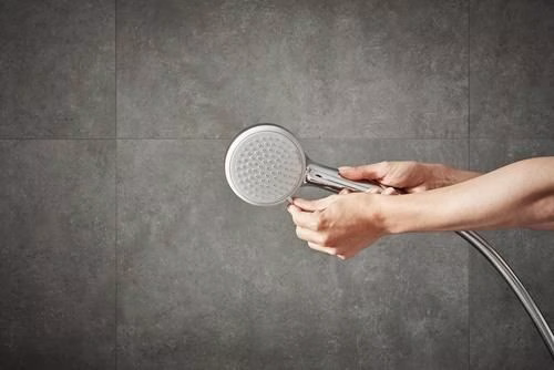 Hansgrohe Handbrause CROMA 100 VARIO Nennweite 15 chrom