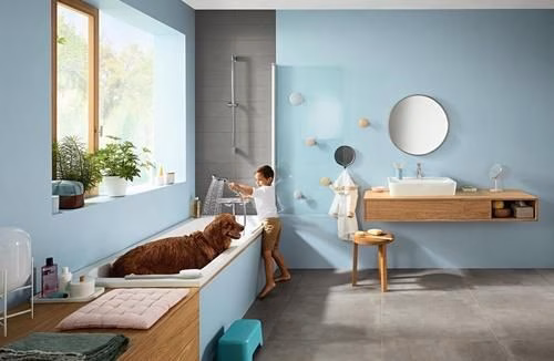 Hansgrohe Handbrause CROMA SELECT S MULTI DN 15 weiß/chrom