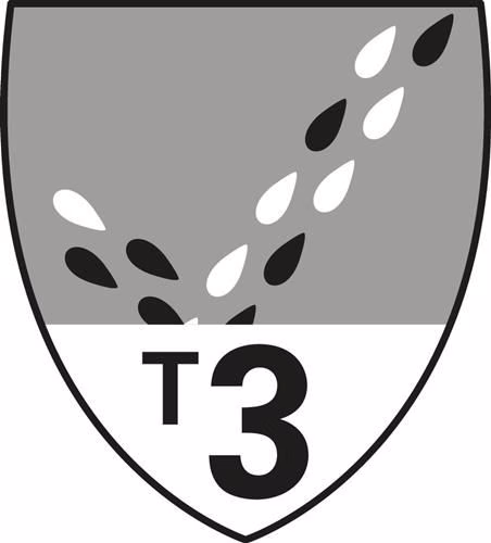 Schutzanzug Tychem 2000 C Größe L gelb PSA III DUPONT