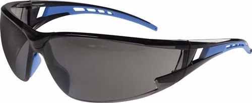 Schutzbrille Falcon 2 EN 166 Bügel blau, Scheibe getönt Polycarbonat von der Marke Pro Fit Schutzbrille Falcon 2 EN 166 Polycarbonat PROFIT aus der Kategorie Schutzbrillen mit der Teilenummer 4000370324