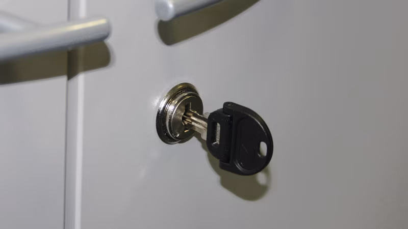 TecLine Schließzylinderspray 50 ml (Pack mit 12 Stück) Griff