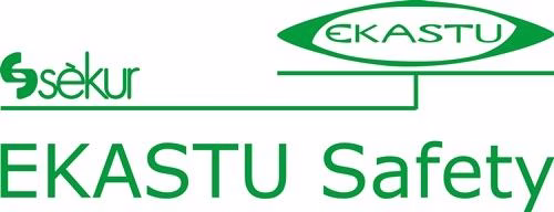 Kombinationsfilter 230 A1-P3 2 Stück/Beutel EKASTU