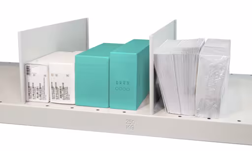 Stecktrennblech freistehend, 300 x 140 mm (T x H), RAL 7035 lichtgrau für MULTIplus250- und MULTIplus330-Fachböden aus der Kategorie Kleinteilelagerung mit der GTIN 4004514292407 Stecktrennblech freistehend, 300 x 140 mm (T x H), RAL 7035 lichtgrau für MULTIplus250- und MULTIplus330-Fachböden von der Marke Schulte Lagertechnik aus der Produktreihe Fachbodenregale