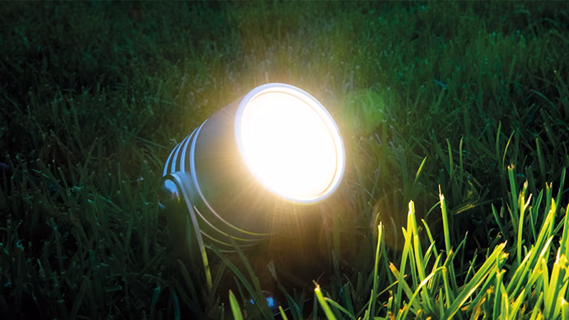 Beleuchtung, Lampe, Licht, Gras, Pflanze