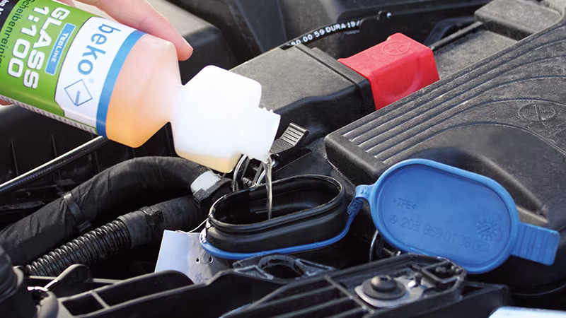 TecLine GLASS 1:100 Scheibenreiniger, Konzentrat 250 ml Reinigen, Person, Maschine