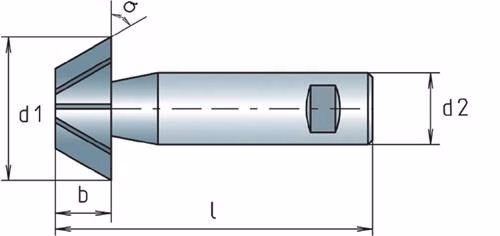 Winkelfräser DIN 1833 D Typ N Durchmesser 16 mm 45 Grad HSS-Co Zähnezahl 8 MAYKESTAG