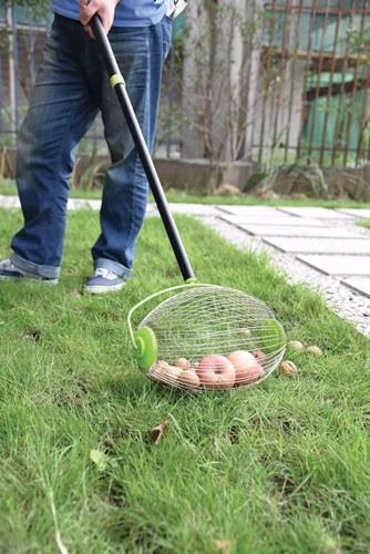 Nuss- und Obstsammler 68090 Breite 300mm mit teleskopierbarem Stiel FREUND VICTORIA