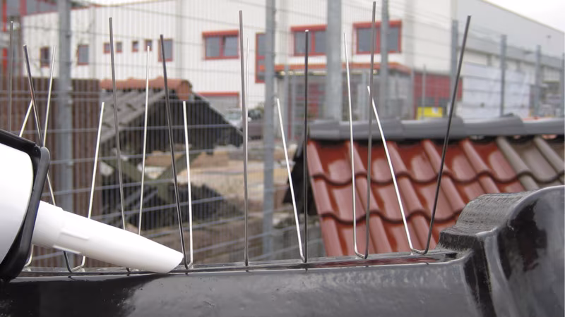 Vogel-Spikes-Kleber 310 ml transparent Architektur, Gebäude, Haus, Wohnen, Dach