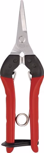 Ernte- und Leseschere Gesamt-Länge 177mm FELCO von der Marke Felco Ernte- und Leseschere FELCO aus der Kategorie Gartenscheren, Astscheren und Baumschere mit der Teilenummer 4000815737