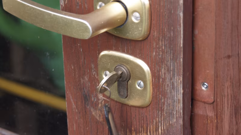 TecLine Schließzylinderspray 50 ml (Pack mit 12 Stück) Griff