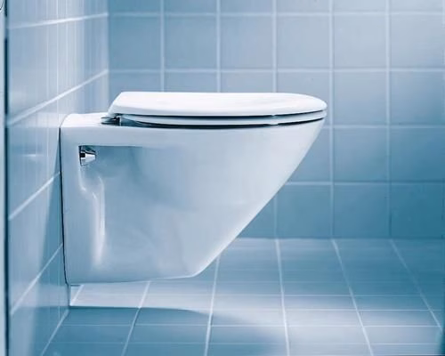 Detailbild 3976946 WC-Sitz Serienübergreifend weiß ohne Absenkautomatik Scharniere Edelstahl DURAVIT
