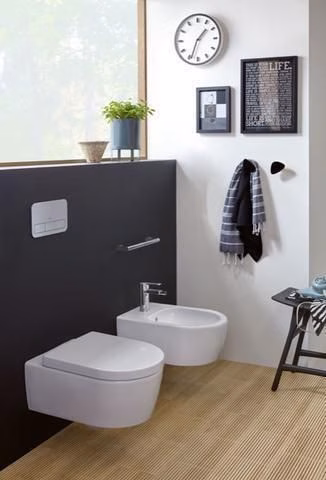 Detailbild 4028573 VILLEROY & BOCH Combi-Pack Avento 5656HR 370x530mm Oval Weiß Alpin