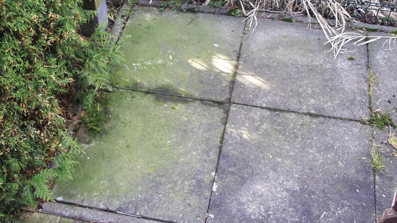 TecLine Grünbelagentferner -Konzentrat- 5 l Kanister Schiefer, Pfad, Gehweg, Bürgersteig, Steinplatte